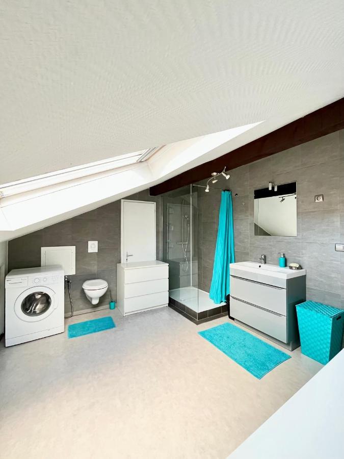 Pin'S - Magnifique Appartement Sarrebourg Bagian luar foto
