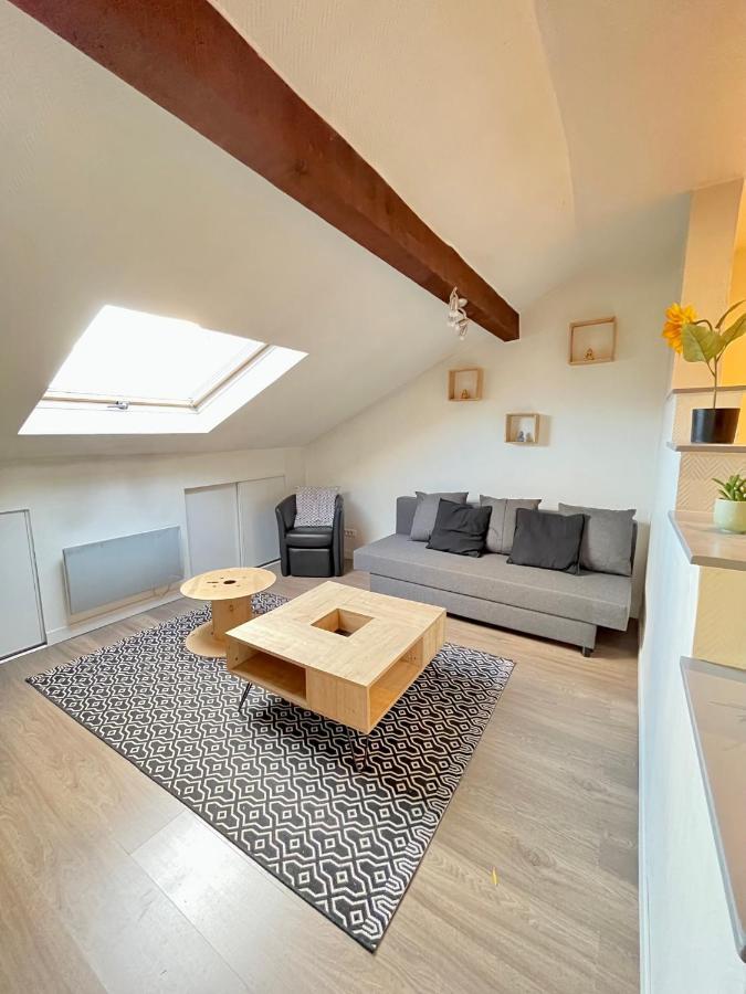Pin'S - Magnifique Appartement Sarrebourg Bagian luar foto