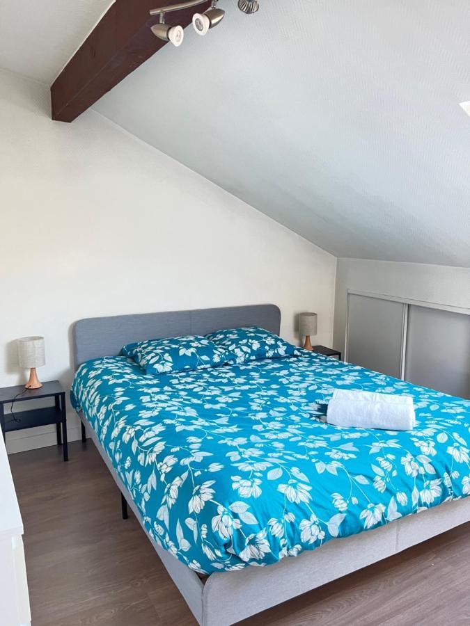 Pin'S - Magnifique Appartement Sarrebourg Bagian luar foto