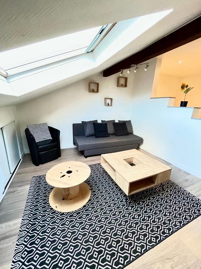 Pin'S - Magnifique Appartement Sarrebourg Bagian luar foto